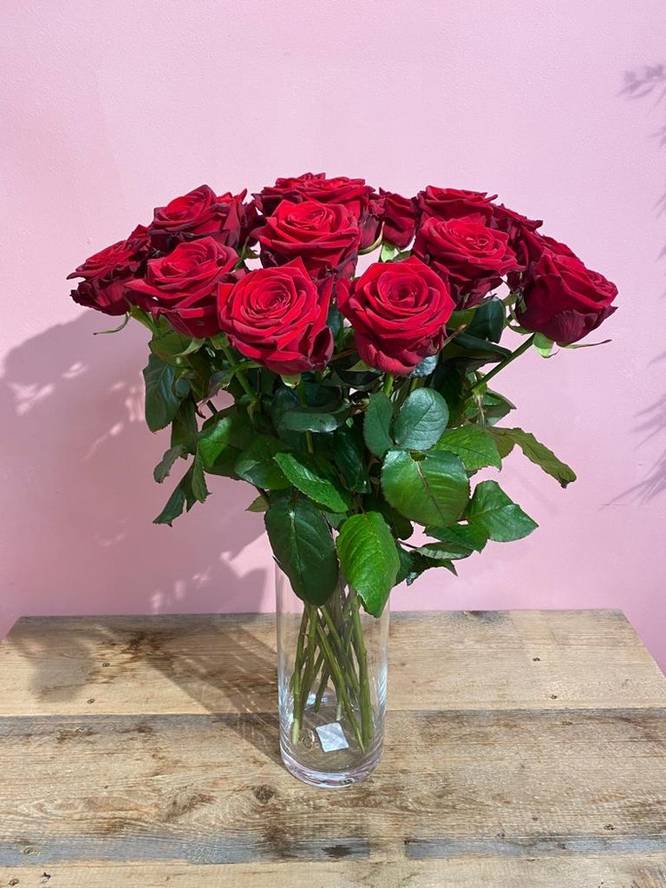 Rose Red Naomi - with green