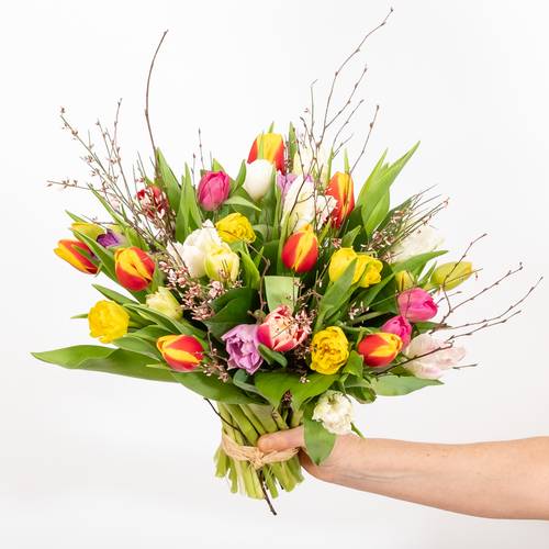 Image - Tulips surprise