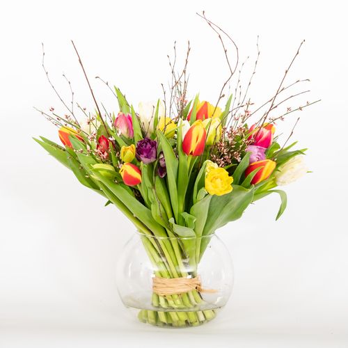 Image - Tulpen Überraschung