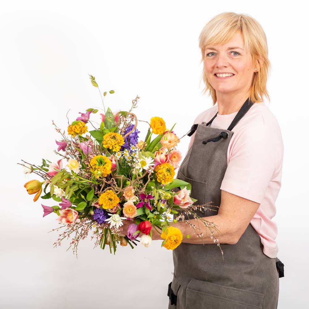 Spring surprise 'de luxe' - zoom Spring surprise 'de luxe' - zoom