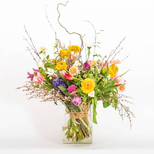 Image - Spring surprise 'de luxe'