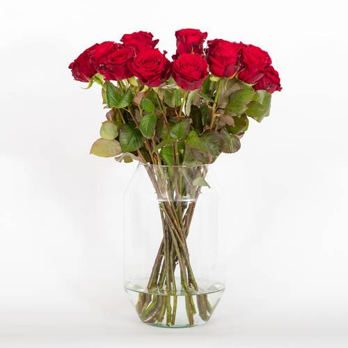 Roses for Valentine's Day