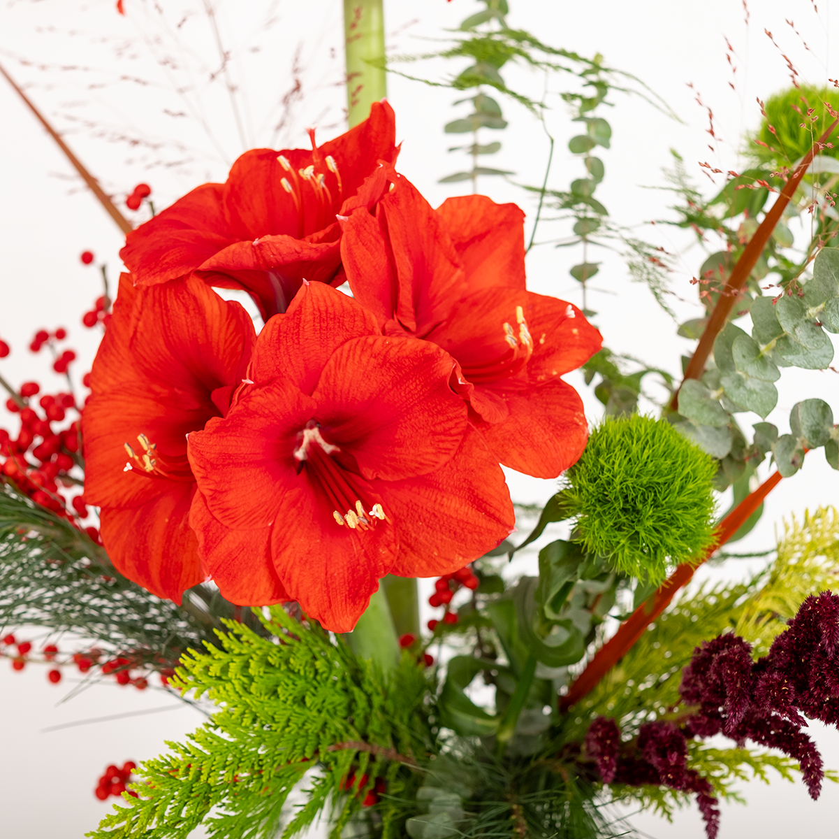 Image - Amaryllis bouquet