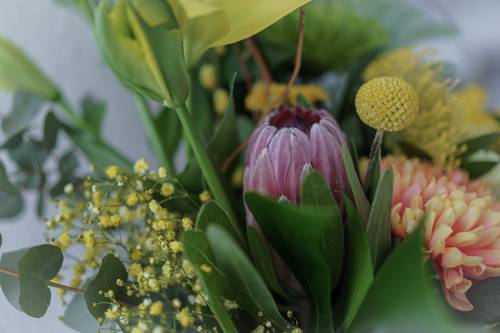 Image - Hipster Pasen