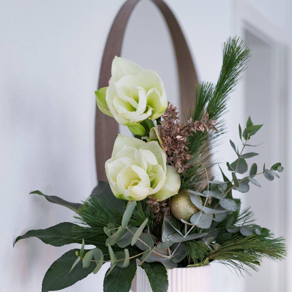 White Christmas (Stufig gebunden Amaryllis)  - zoom