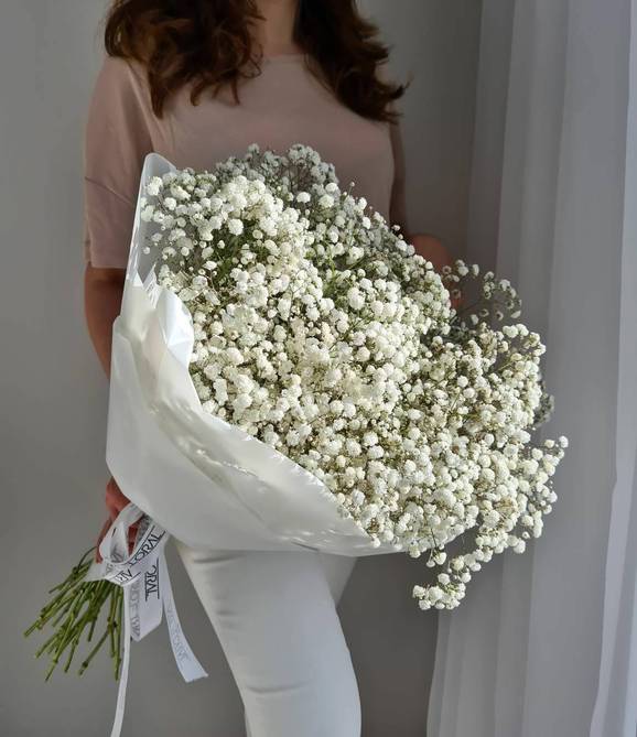Gypsophila Bouquet