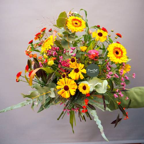 Image - Duo Colorum