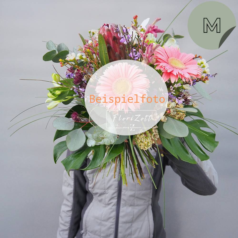 Strauß Express - zoom