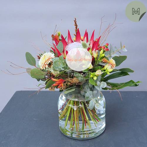 Image - Strauß Express