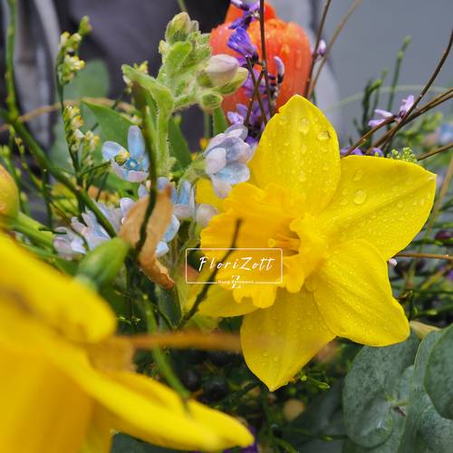 Image - Frühlingssonne