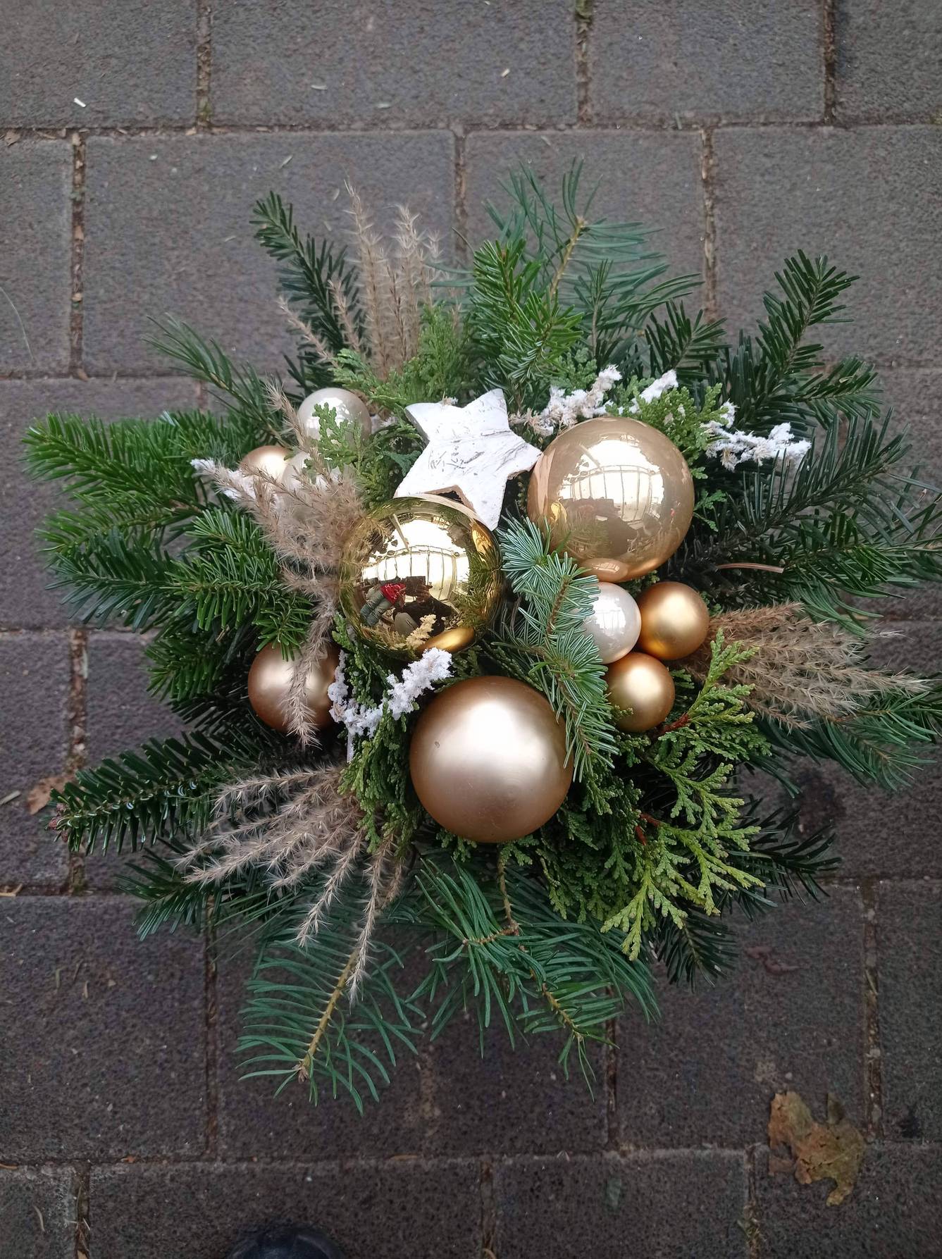 Kugelstrauß - zoom Kugelstrauß - zoom