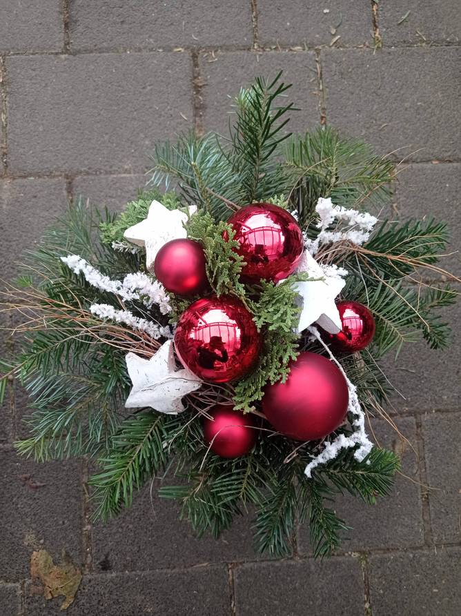 Image - Kugelstrauß