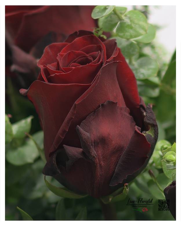 Image - Premium boeket met rode rozen