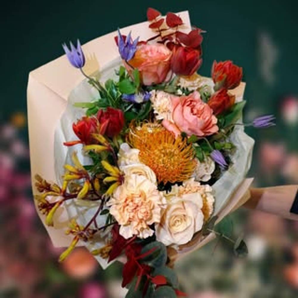 Colorful - zoom Colorful - zoom