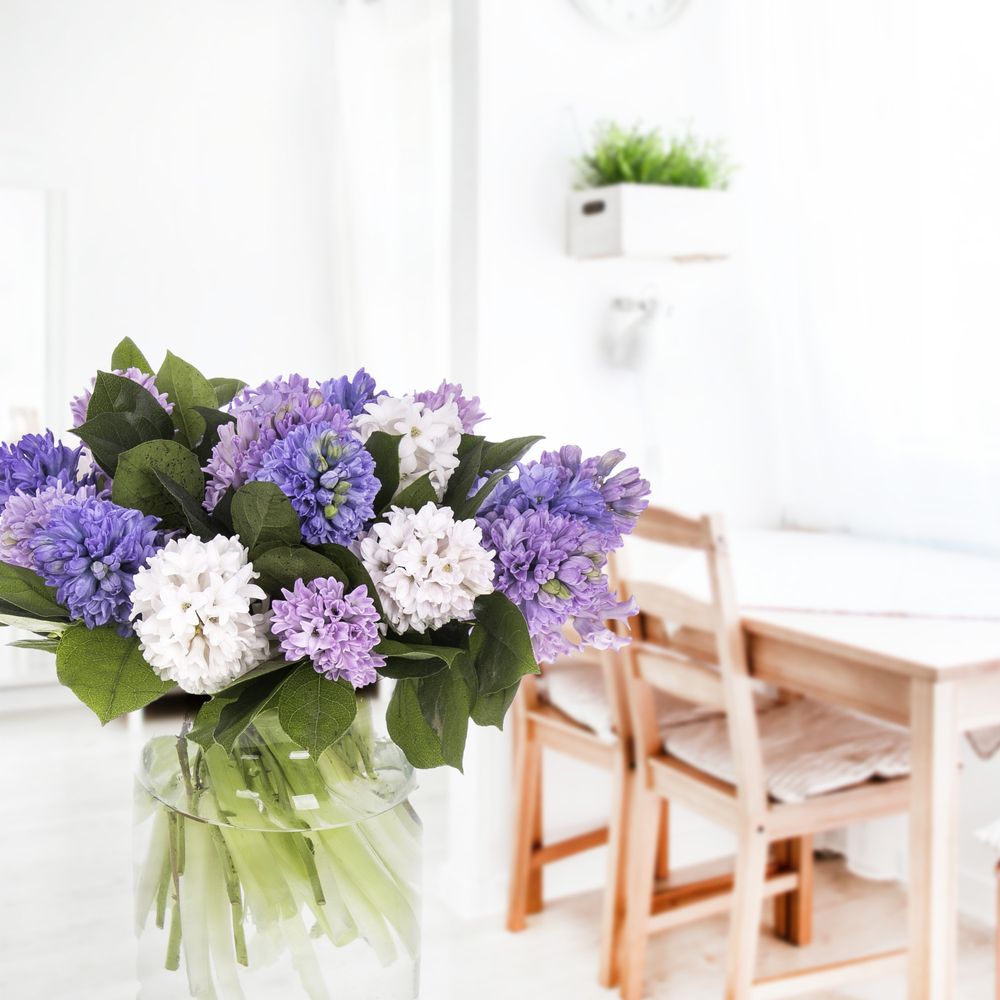 Spring surprise - zoom