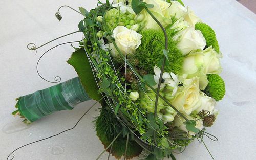 Der Kleine Blumenladen Salzgitter