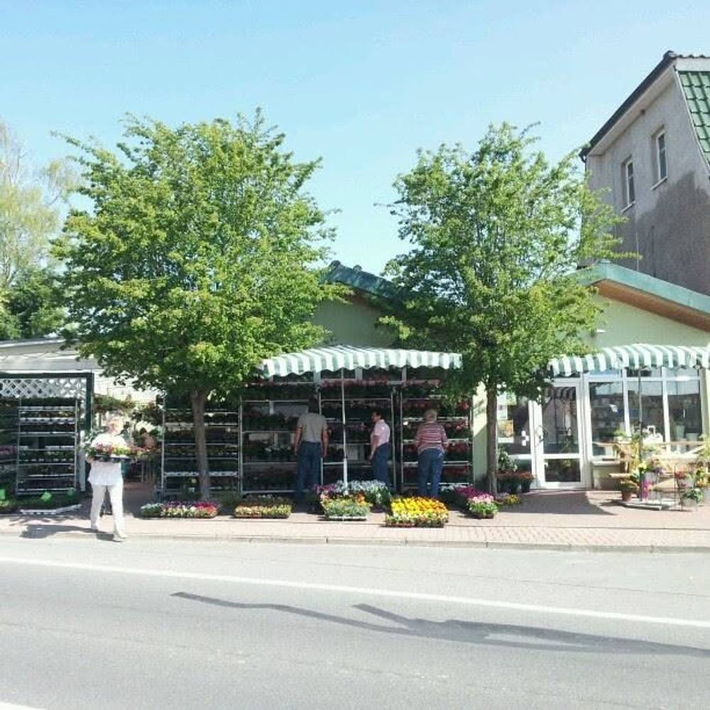 Blumen Polzer