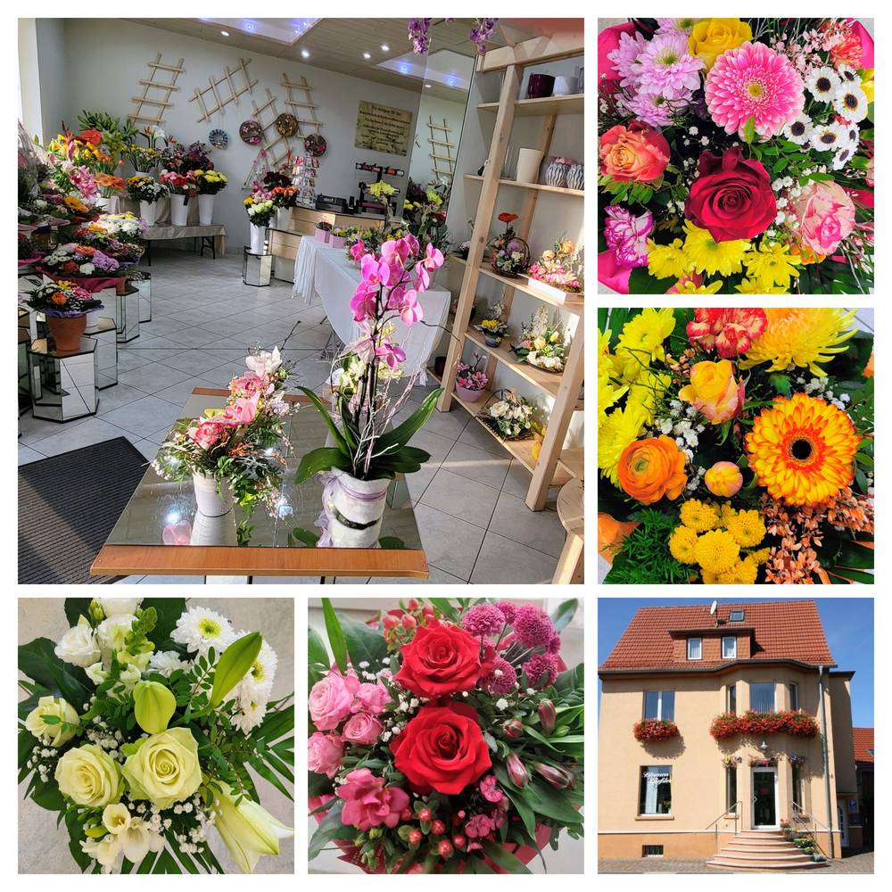 Blumen Gießler