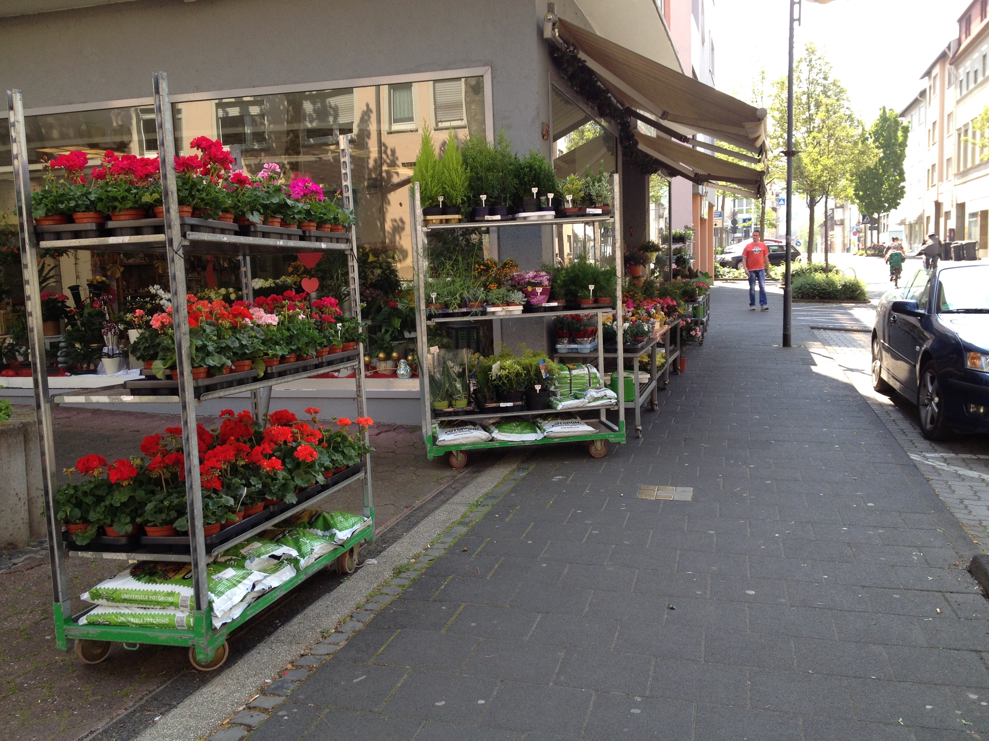 Blumenvielfalt in Bingen – Ihr Florist für jeden Anlass