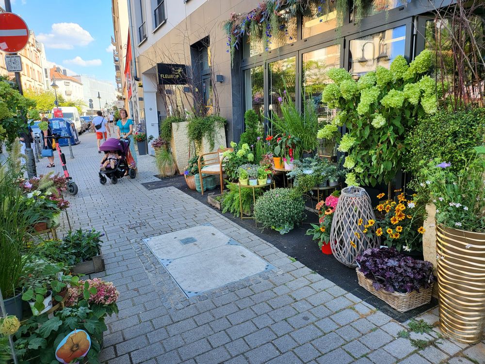 Blumen verschicken über den lokalen Floristen La Flor AK Floristik