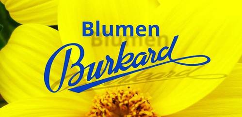 logo Blumenhaus Burkard