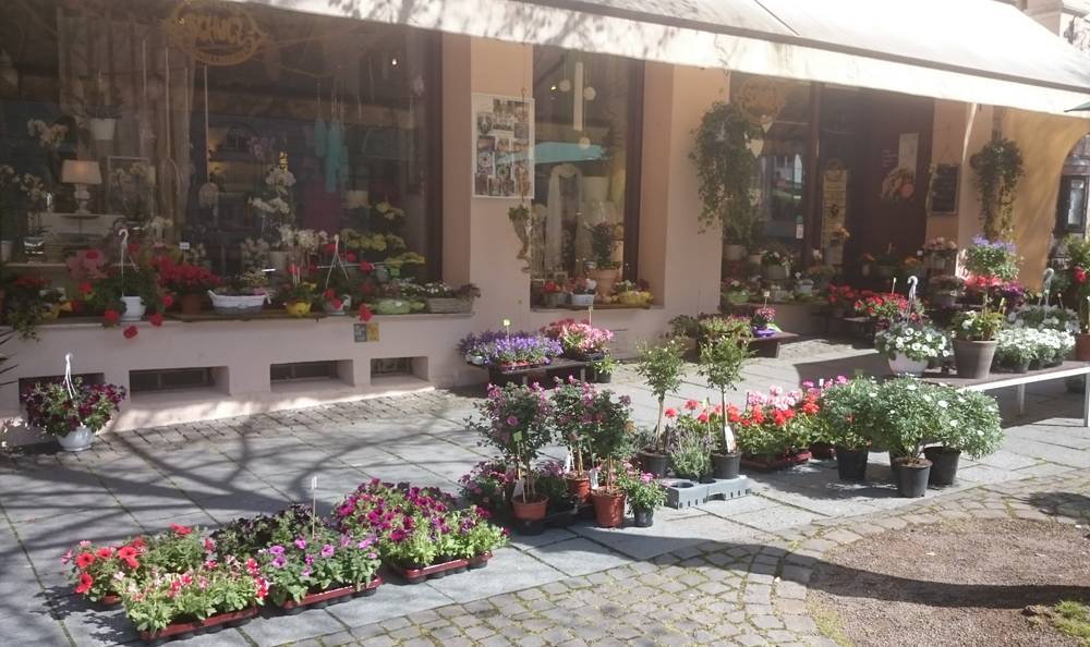 Blumenhandelshaus Schulz 