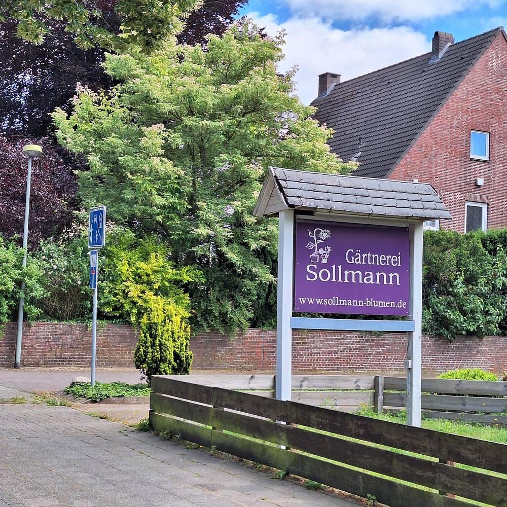 Gärtnerei Sollmann 