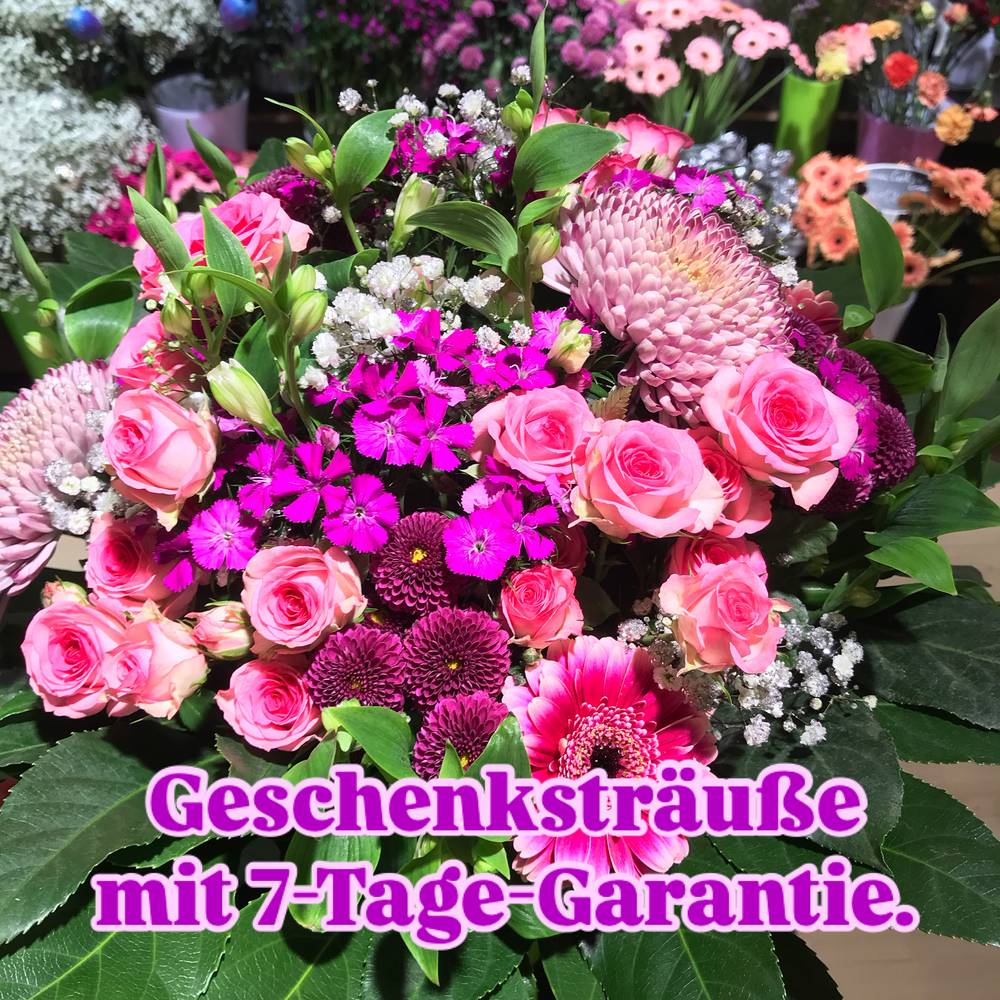 Blumeninsel Viersen
