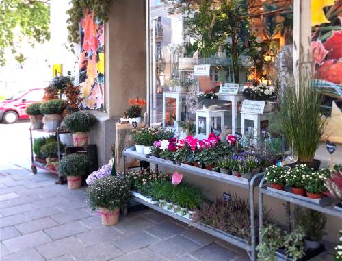 outdoor_store_front_img