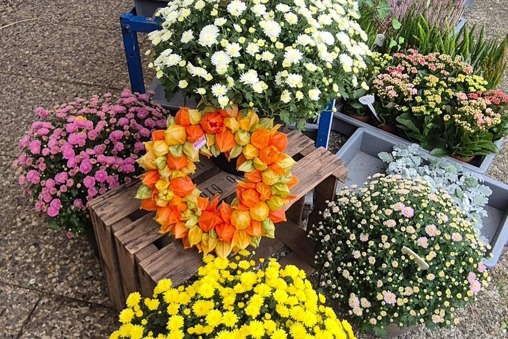 Isar Blumen
