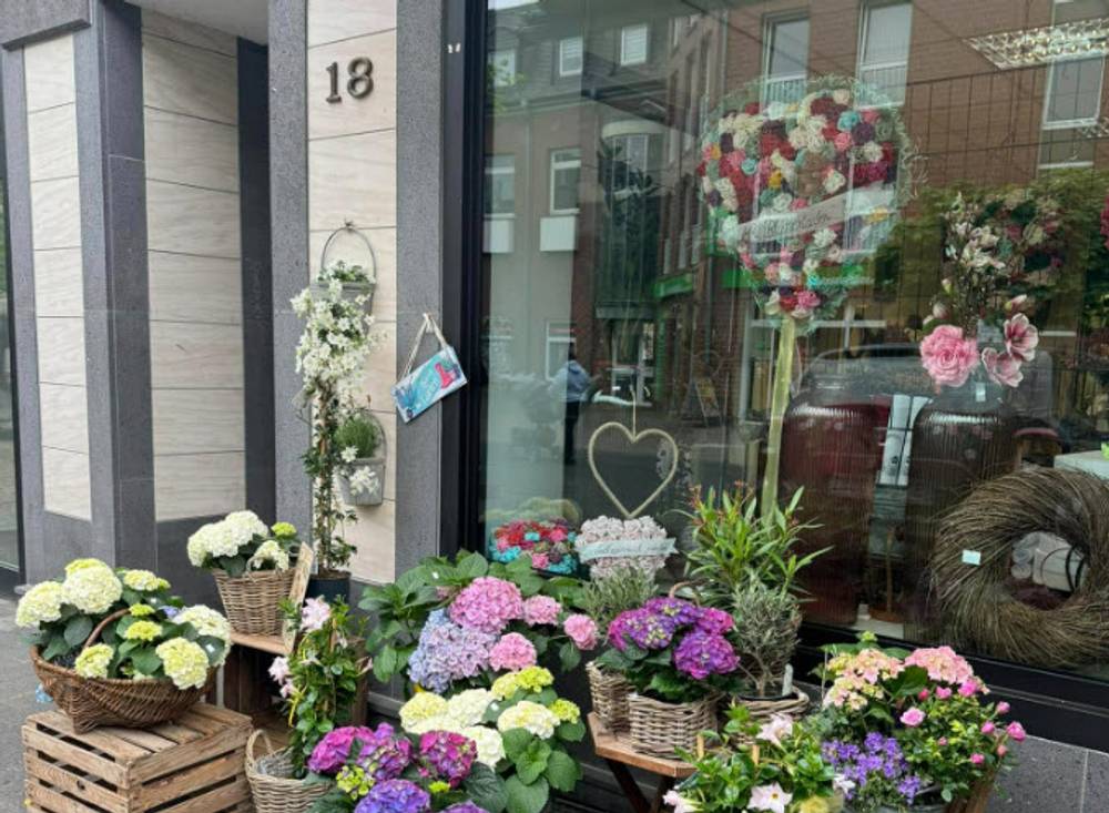 Ihr Blumenladen | Servais