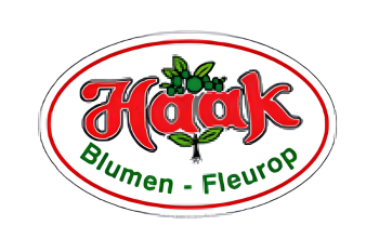 Daniela Haak - Blumen Esens