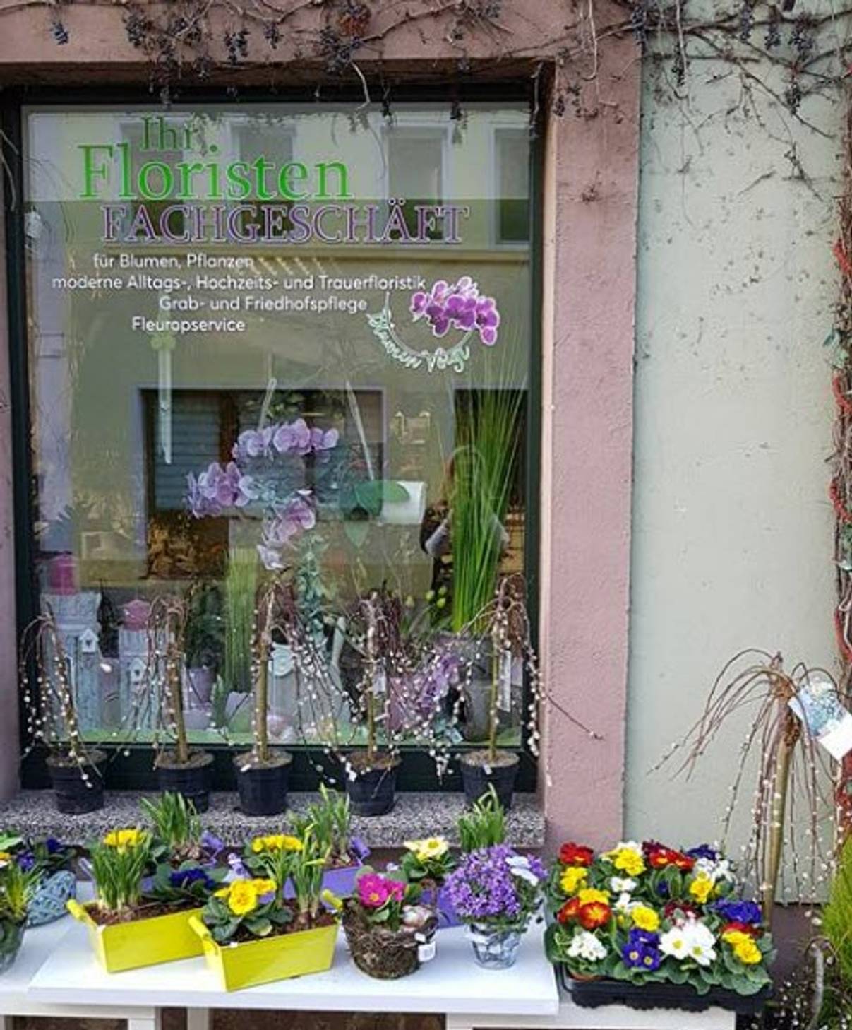 Blumen Voigt