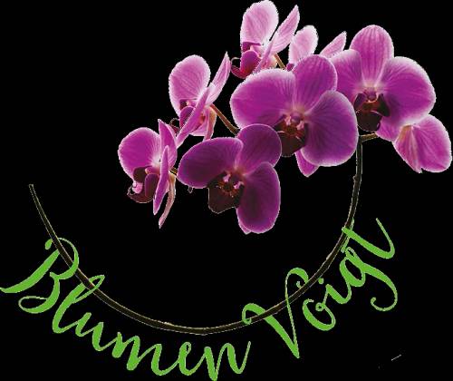 logo Blumen Voigt