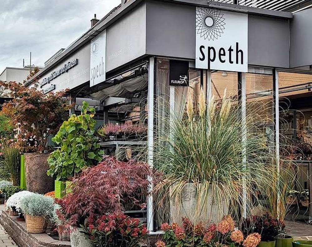 Blumen Speth
