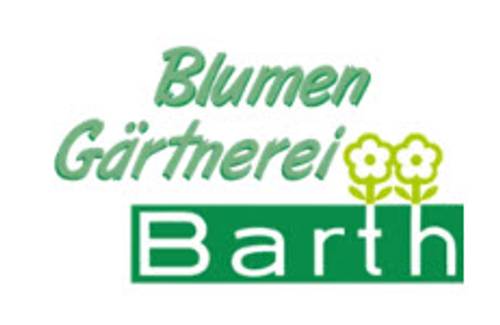 logo Daniel Barth
