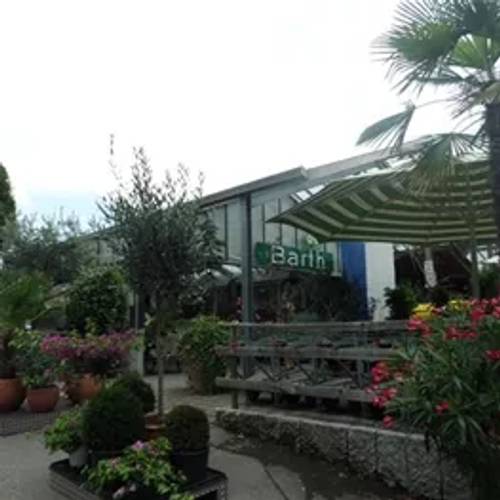 Daniel Barth - Blumen Daniel Barth